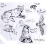 2011 ROM sketches