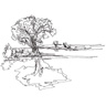 Infinite Line Drawings