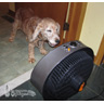Goldie's Biggest Fan