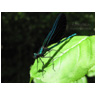 Radiant Damselfly