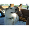 Sasha on a Canoe Trip