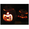 Spider Pumpkin and Guardian Bat