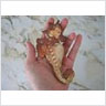 Clay Seahorse Sculpture
